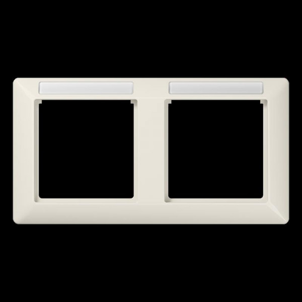Jung AS5820BFINA Rahmen, 2fach, sprühnebeldichtes Fenster, bruchsicher, Beschriftungsfeldträger, waa