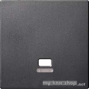 Merten MEG3380-0414 Zentralplatte mit Kontrollfenster für Zugschalter, anthrazit, System M