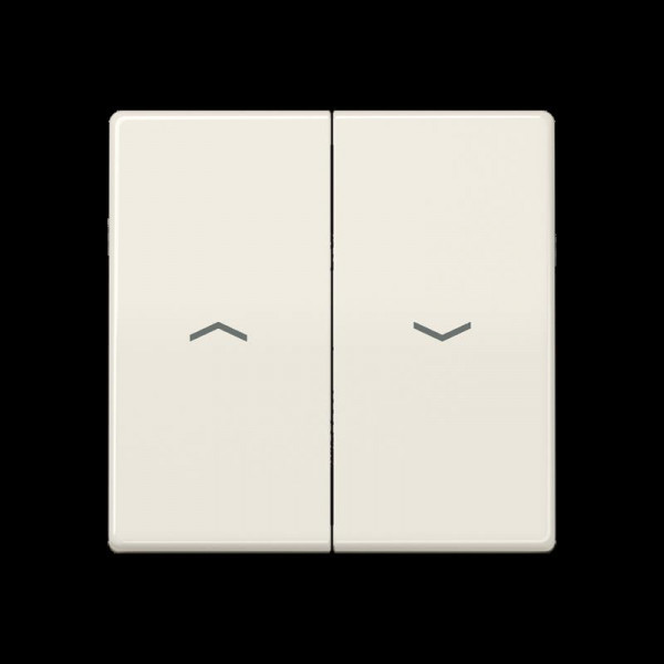 Jung AS591-5PBF Wippe, Symbole Pfeile, Zentralplatte, bruchsicher, für Jalousie-Wippschalter und Jal