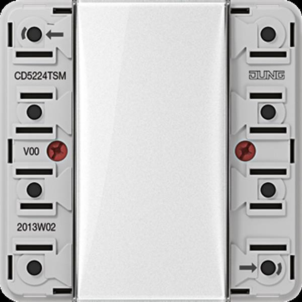 Jung CD5224TSM Tastsensor-Modul 24 V, 2fach, AC/DC 24 V, 2-kanalig (4 Schaltpunkte), Beschriftungsfe