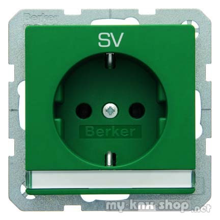Berker 47506013 Steckdose SCHUKO mit Beschriftungsfeld und Aufdruck Q.1/Q.3 grün, samt