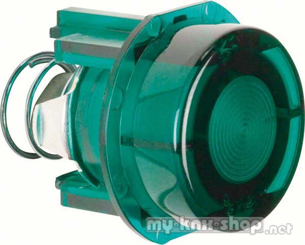 Berker 127903 Tasterknopf für Drucktaster und Lichtsignal E10 Zubehör grün transparent
