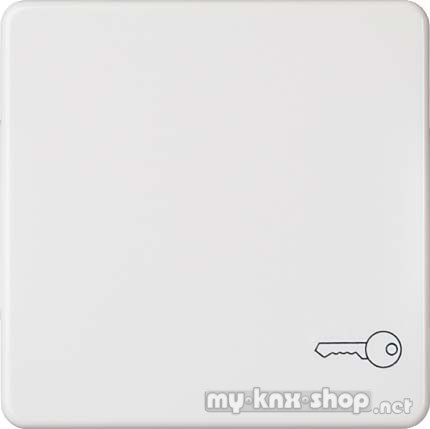 ELSO Wippe für Universalschalter/Taster, Symbol Schlüssel, braun 233122