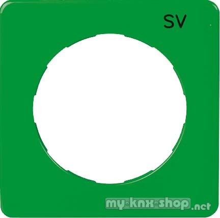 ELSO Zentralplatte SV f.Steckdose, grün 223107