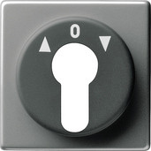 Gira 066420 Abdeckung für Schlüsselschalter und Schlüsseltaster Edelstahl