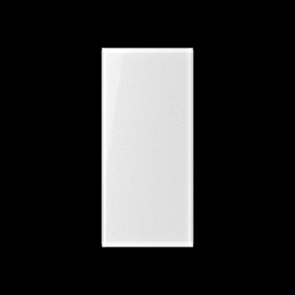 Jung A50NA Abdeckung transparent, Einlage, Schriftfeld 25 x 52,5 mm