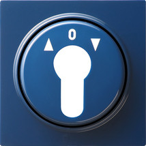Gira 066446 Abdeckung Schlüssel S-Color blau