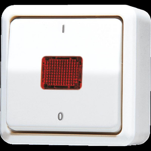 Jung 602KOAWW Wipp-Kontrollschalter, 10 AX, 250 V ~, orangefarb. Lichtaustrittsf., Kennzeichnung 1 /