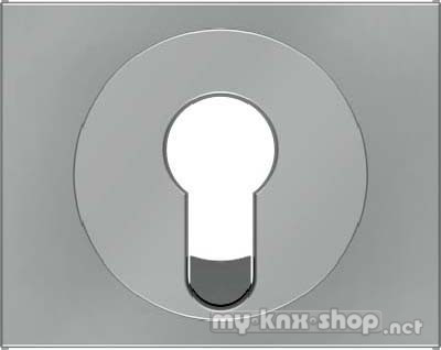 Berker 15057004 Zentralstück für Schlüsselschalter/-taster K.5 edelstahl, lackiert