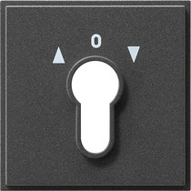 Gira 066467 Abdeckung Schlüssel TX44 (WG UP) anthrazit