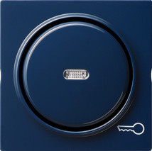Gira 028746 Wippe Kontroll Schlüssel S-Color blau