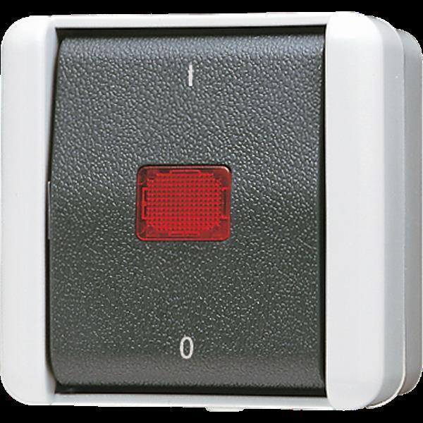 Jung 802KOW Wipp-Kontrollschalter, 10 AX, 250 V ~, rotes Lichtaustrittsfenster, Kennzeichnung 1 / 0,