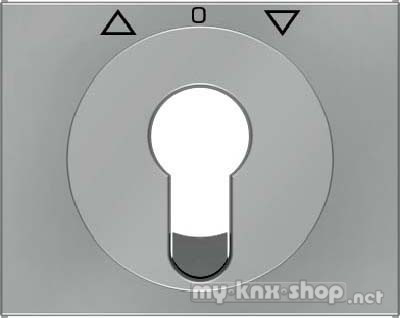 Berker 15047104 Zentralstück für Jalousie-Schlüsselschalter/-taster K.5 edelstahl, lackiert