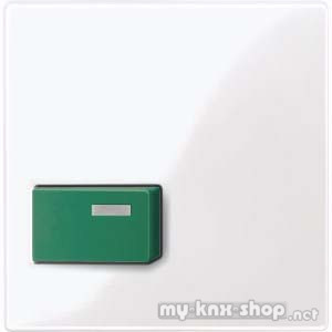 Merten 451525 Zentralplatte für Abstelltaster, grün, aktivweiß glänzend, System M