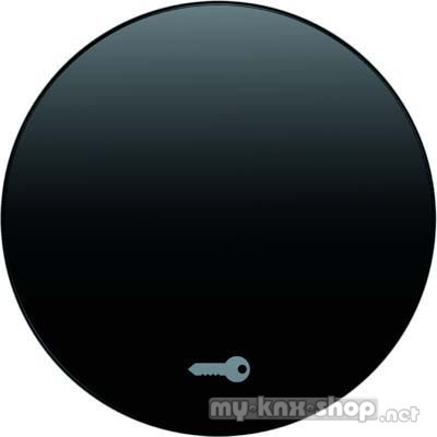 Berker 16202015 Wippe mit Aufdruck Symbol Tür R.1/R.3 schwarz, glänzend