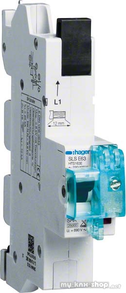 Hager SLS-Schalter 1P E-63A,für SS HTS163E