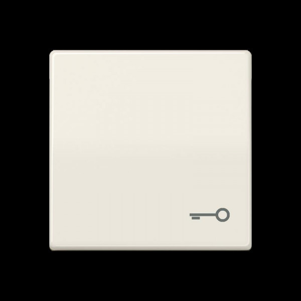 Jung ABAS591T Wippe, Symbol Tür, Zentralplatte, antibakteriell, für Taster