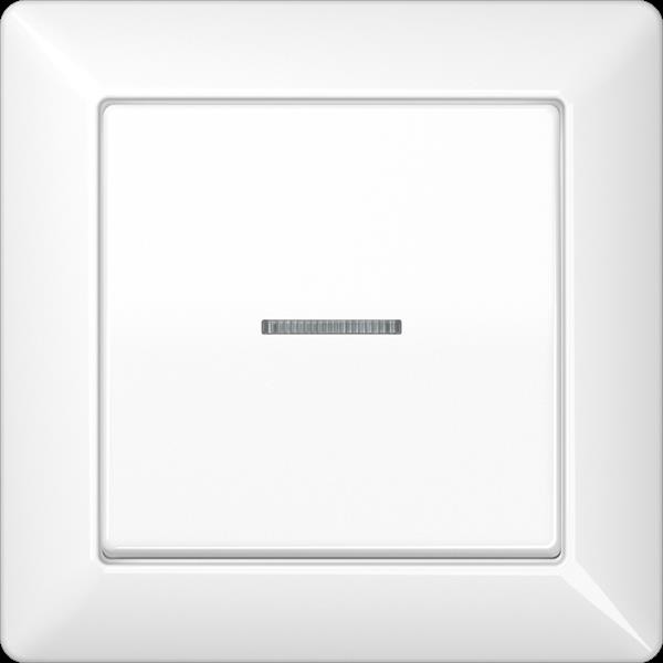 Jung AS590KO5WW Abdeckung, Linse, Lichtleiter, volle Platte, für Wipp-Kontrollschalter, Tast-Kontrol