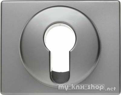 Berker 15059014 Zentralstück für Schlüsselschalter/-taster Arsys edelstahl, lackiert