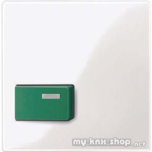Merten 451519 Zentralplatte für Abstelltaster, grün, polarweiß glänzend, System M